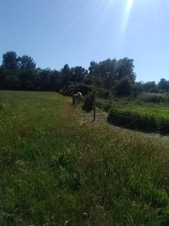 Maison Individuelle 5 Couchages Dans Ferme Equestre Aups Exterior foto
